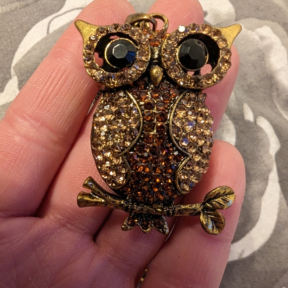 🌟3/$20🌟Vintage-style Long Owl Necklace - Picture 1 of 5